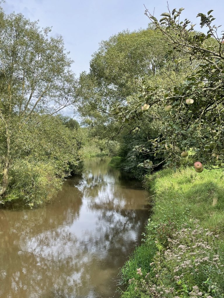 img_0860-768x1024 Durch die Wümmewiesen