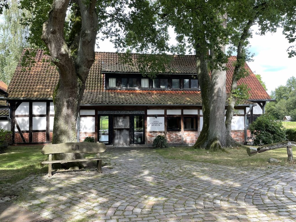 img_0862-1024x768 Durch die Wümmewiesen