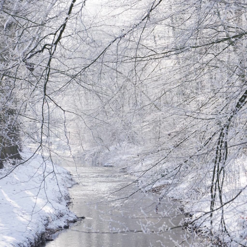 936A96B2-3EC0-4163-8952-3A91023896FC-1024x1024 Winterbilder  2024 - 2021 - 2013