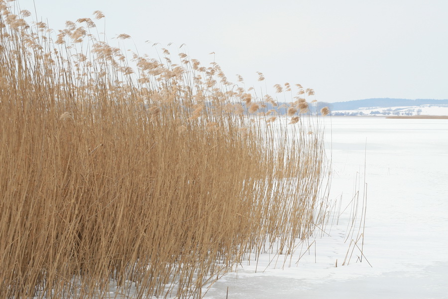 KP13C0433 Winterbilder  2024 - 2021 - 2013