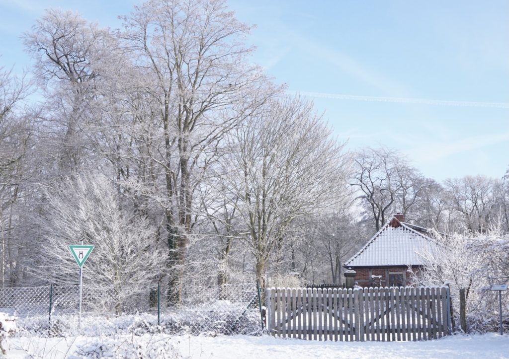 KPH03137-1024x723 Winterbilder  2024 - 2021 - 2013