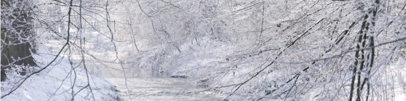 Winter_beitragsbild Winterbilder  2024 - 2021 - 2013