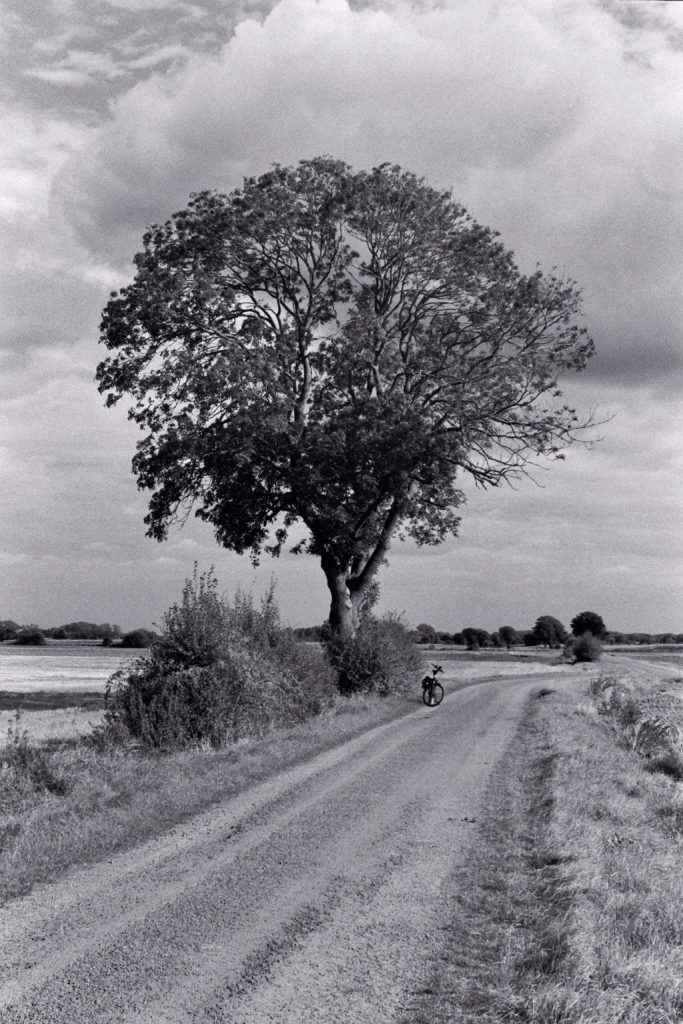 013_N12a-683x1024 Tagebuch 7. April 2025