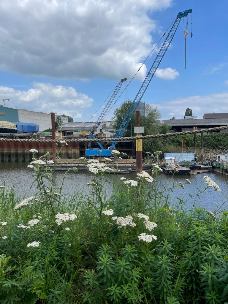 IMG_5149-768x1024 Tagebuch 26. Juli 2025