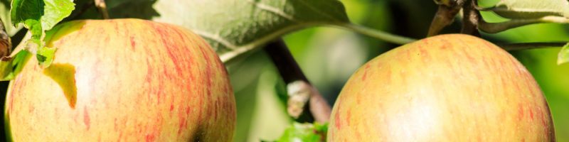 KPCR2064-e1765096769937 Jahresübersicht 2025