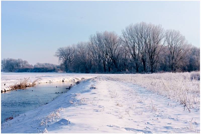 Winter2026 Winterstimmungen im Januar 2026