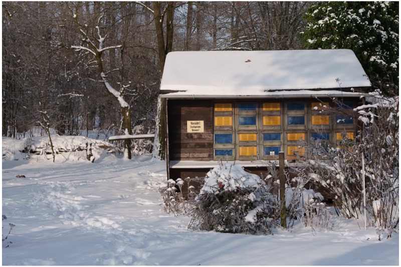 Winter_2026-2 Winterstimmungen im Januar 2026