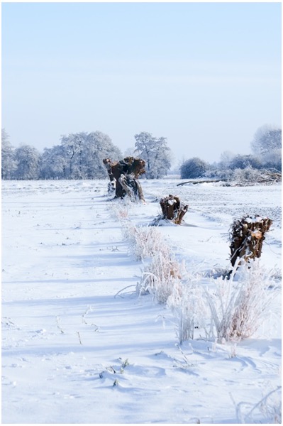 Winter_2026-4_bildgroesse-aendern Winterstimmungen im Januar 2026