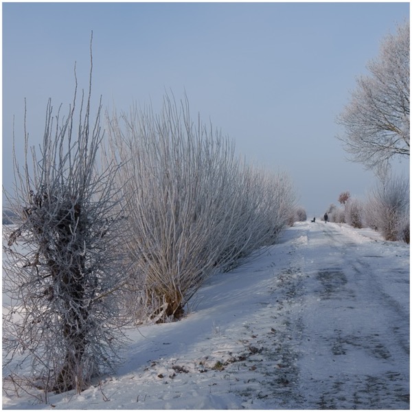 Winter_2026-6 Winterstimmungen im Januar 2026