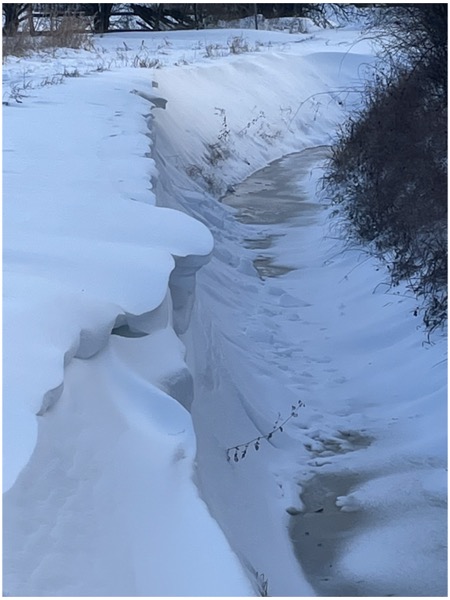 Winter_2026-7_bildgroesse-aendern Winterstimmungen im Januar 2026