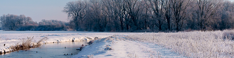 Winter_2026_titel Winterstimmungen im Januar 2026