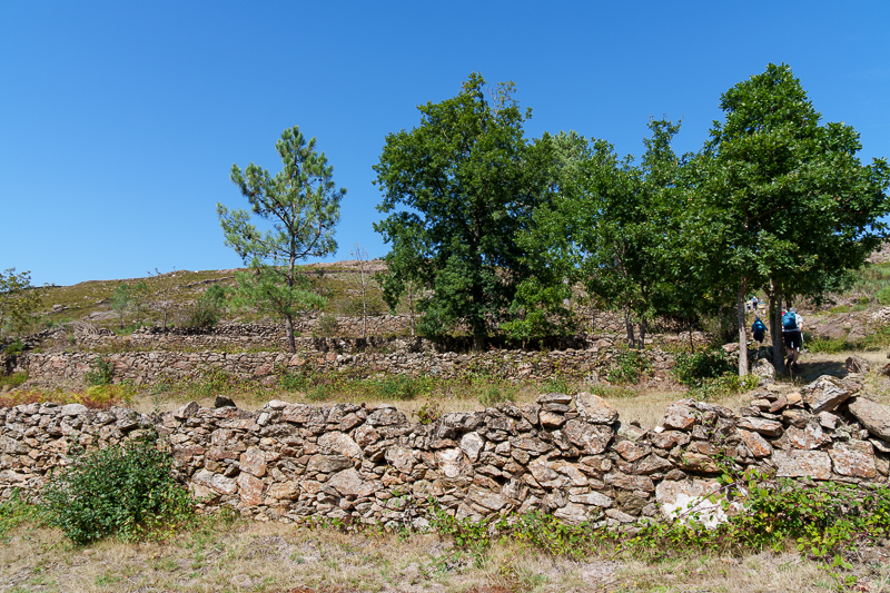 260906_Steinmauern Serra da Freita